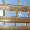 Lattice